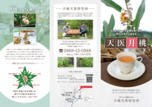お茶リーフレットデザイン作成