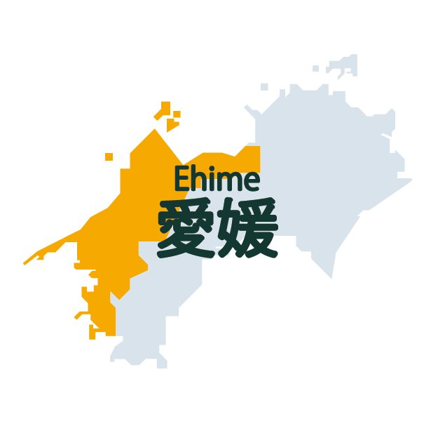 愛媛県地図